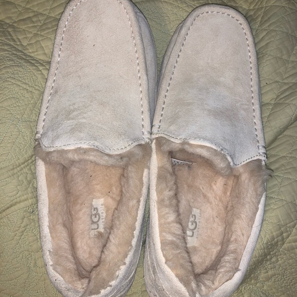 Men’s Ugg Ascot - Picture 4 of 13